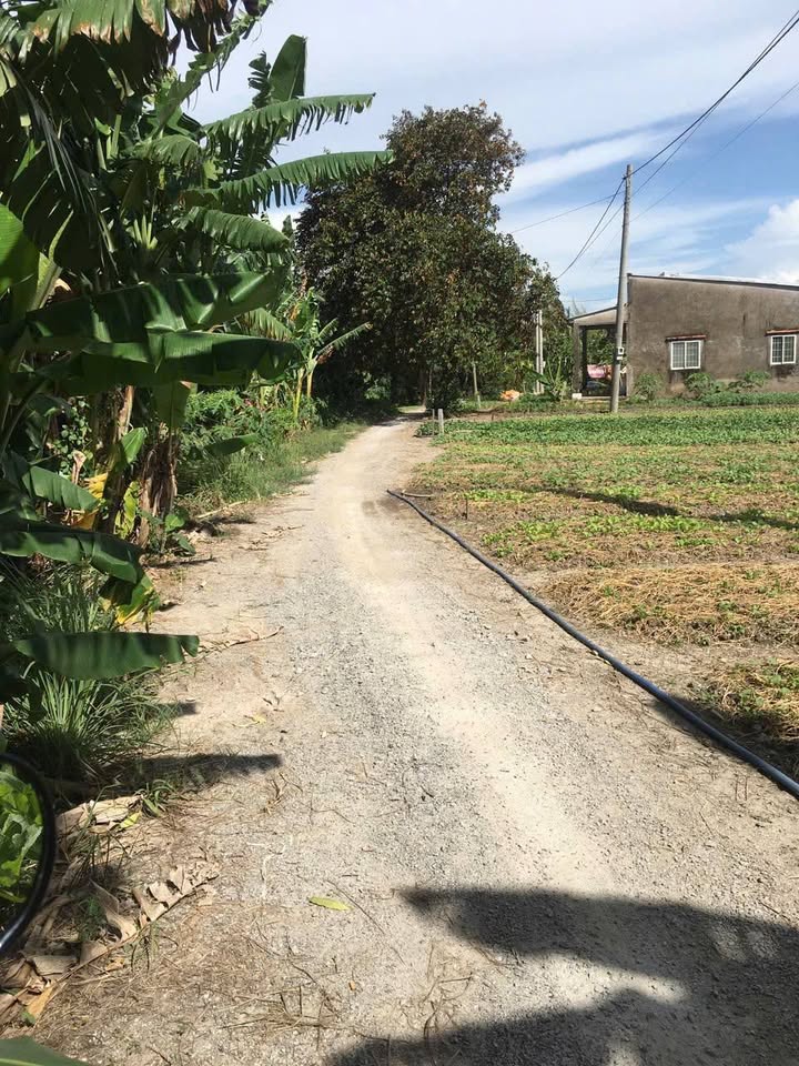 Bán đất vườn 1378.4m2 mặt sông tại Kiên Giang, cơ hội đầu tư sinh lời