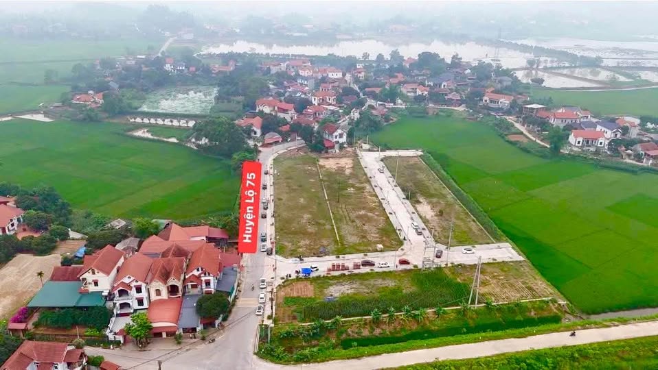 Siêu phẩm đất nền tại Khu đấu giá Thọ Văn, Tam Nông, Phú Thọ đây