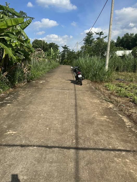 Đất nền sổ riêng, ô tô vào tận nơi, 5x27.8m tại Bình Giã, Bà Rịa - Vũng Tàu