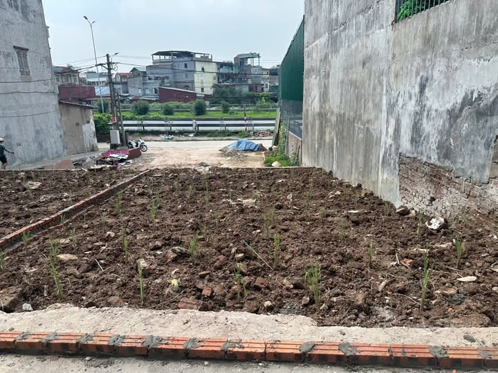 Bán đất 77m2 mặt tiền 6m, ngõ ô tô, gần KCN Thuận Thành, Bắc Ninh