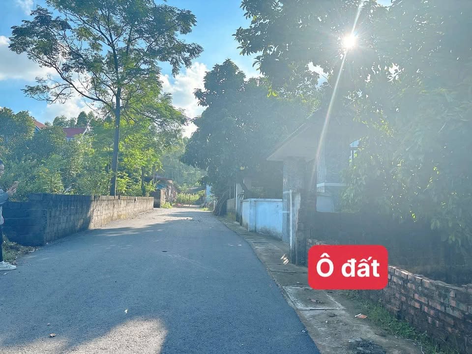 Chào mừng quý khách đến với mảnh đất vàng tại Hương Vị, Hương Sơn, Bình Xuyên, Vĩnh Phúc