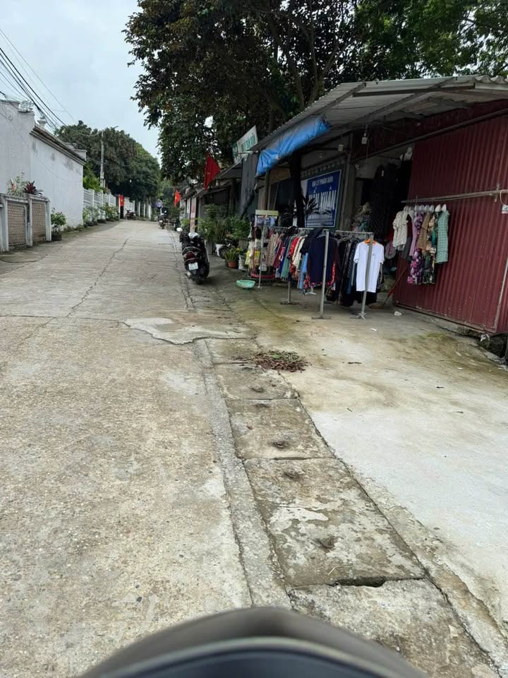 Đất 100m² view thoáng, ô tô vào tận nơi, Thanh Mỹ, Đan Phượng