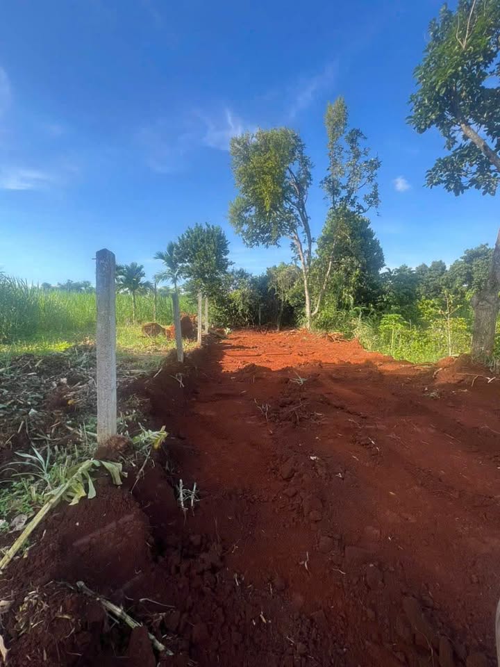 Đất mặt tiền đường nhựa, kinh doanh vi vu, làm vườn hay homestay đều đỉnh