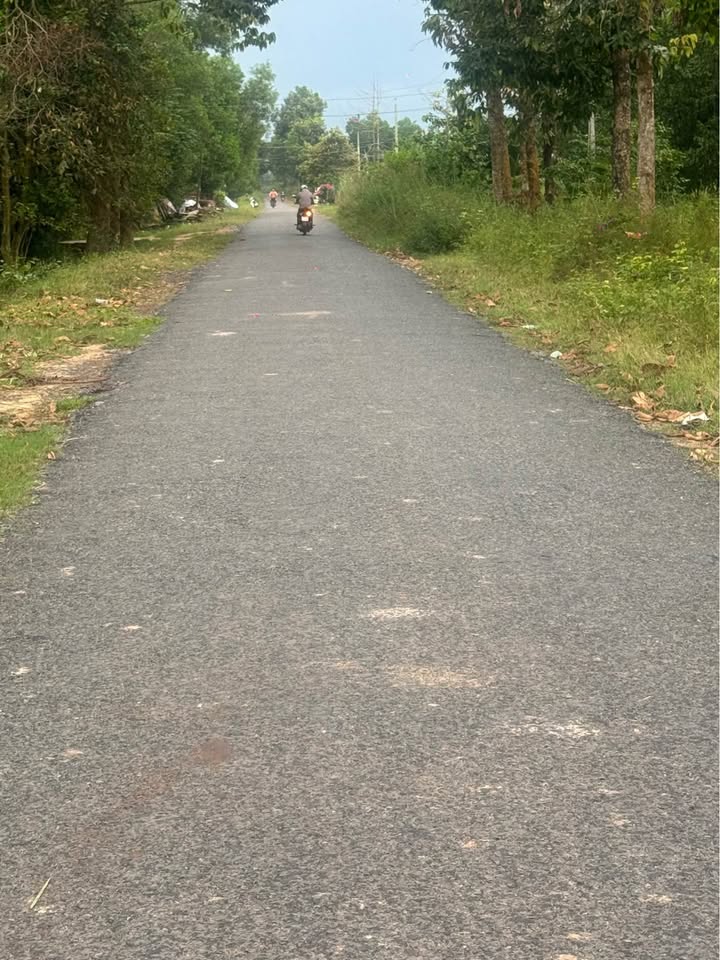 Siêu phẩm đất nền đường nhựa D14, Huyện Trảng Bàng, tỉnh Tây Ninh