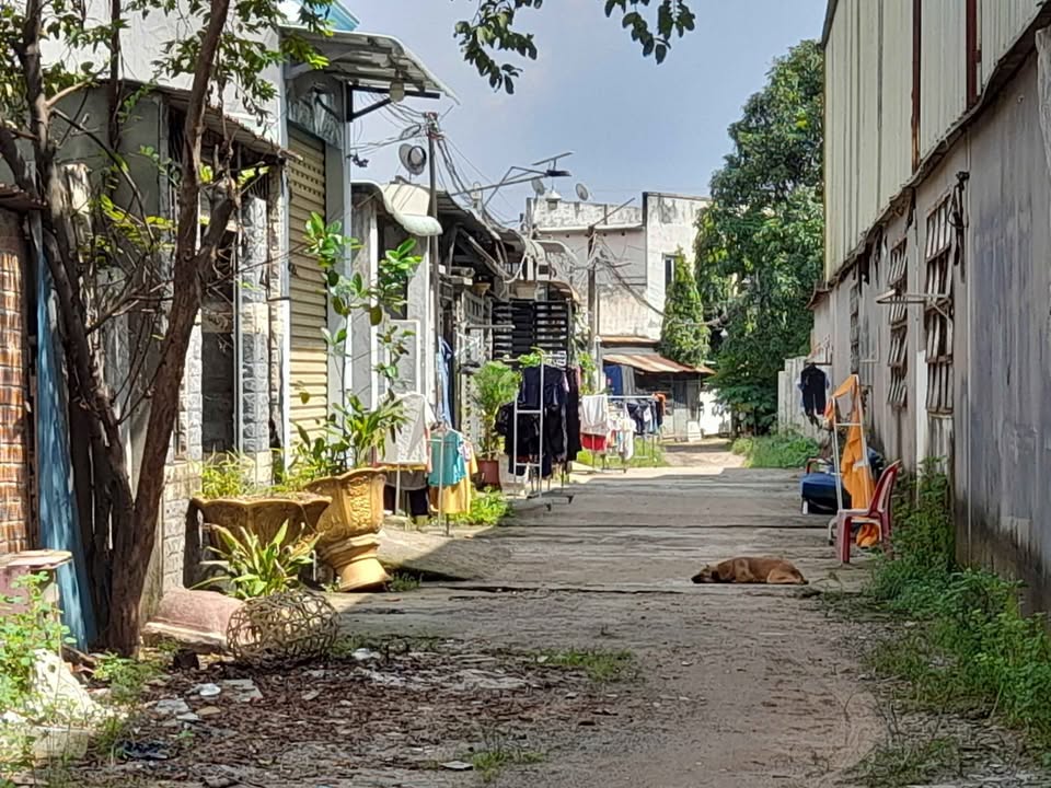 Siêu phẩm đất nền 5mx20m full thổ cư, tọa lạc ngay trung tâm phường Bình Chuẩn, Thuận An, Bình