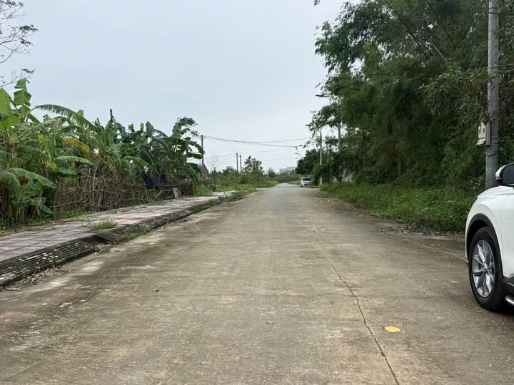 Đất vàng trung tâm Tân Giang sở hữu ngay