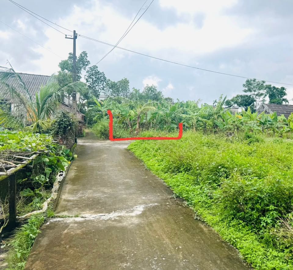 Chủ nhà cần bán gấp lô đất góc siêu đẹp tại thôn Nhân Phú, xã Hùng Dũng, huyện Hưng Hà, tỉnh Hưng Yên