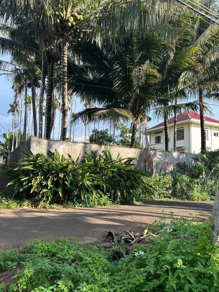 Siêu phẩm đất nền 2 mặt tiền tại đường 8A, Hòa Thuận - Đạt Lý, thành phố Buôn Ma Thuột, tỉnh Đắk Lắk đây rồi