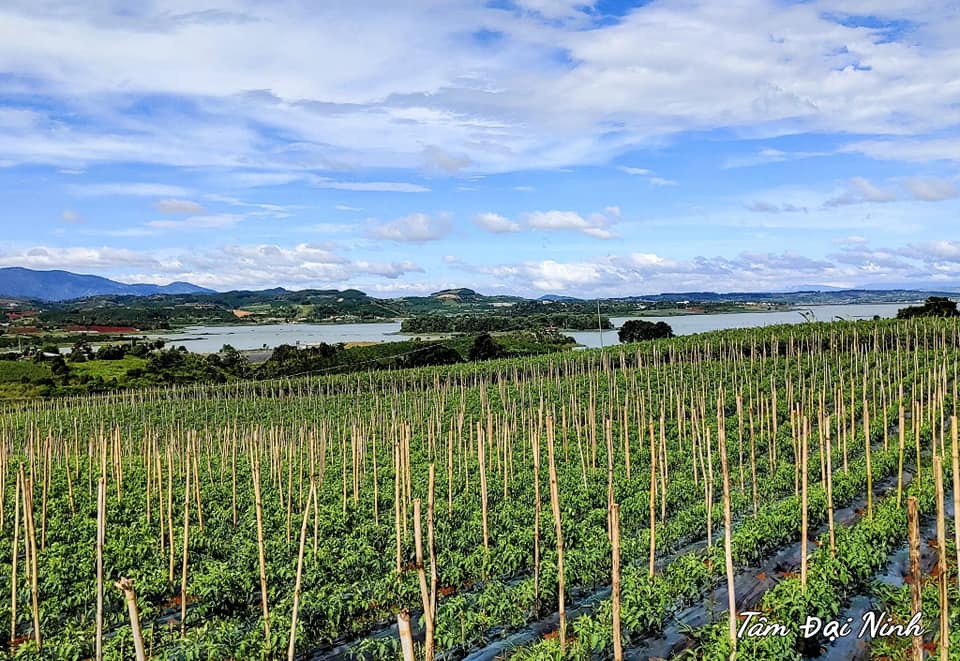 Đất nền view hồ Đại Ninh, sổ riêng, giá tốt