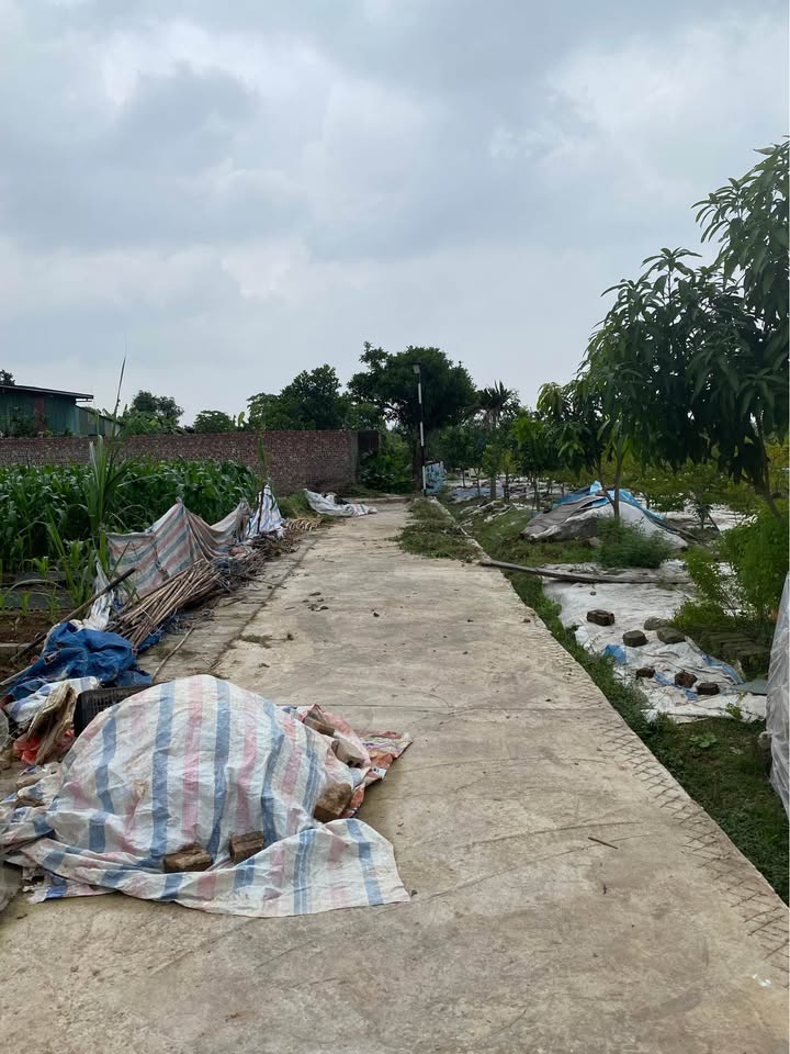 Đất vàng Bắc Ninh - 61m2 mặt tiền 6m - Giá chỉ 1.3 tỷ