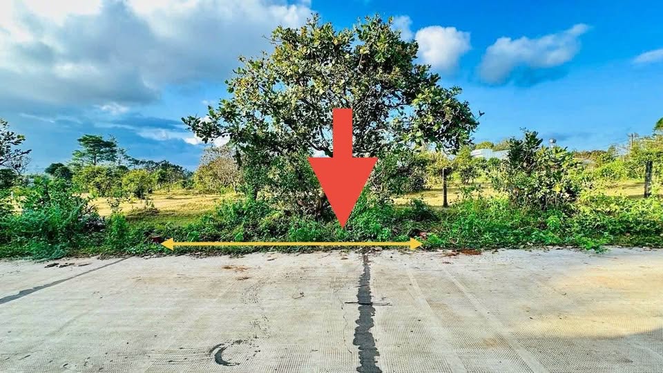 Cơ hội sở hữu ngay lô đất đẹp tại Đồi Thông, Phan Đình Phùng, Gia Lai