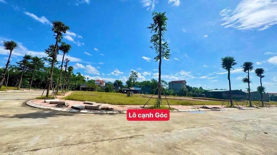 Đất cạnh góc siêu đẹp với diện tích 133m2, full thổ cư, tọa lạc tại Bản Giản, Lập Thạch, Vĩnh Phúc