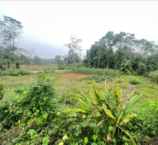 Đất Liễn Sơn cắt lỗ sâu - Mặt tiền 6m, đầu tư ngay