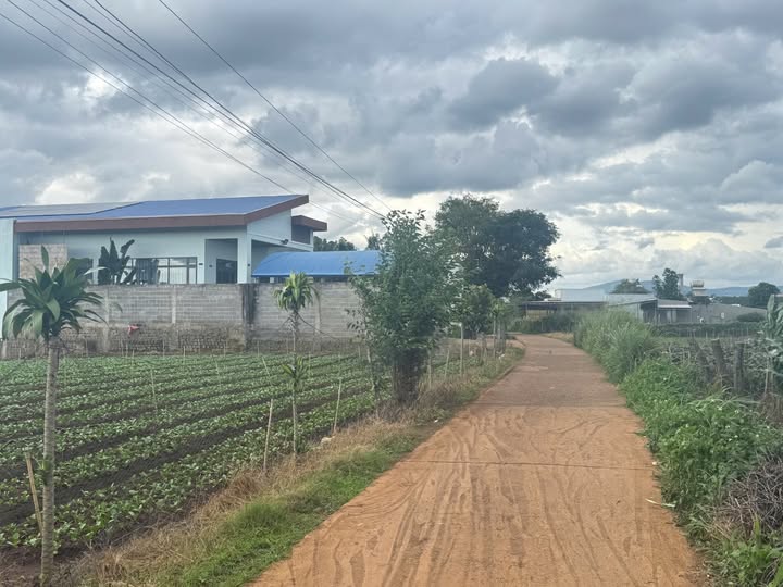 Đất vàng Đức Trọng - Xây nhà, đầu tư sinh lời cực đỉnh