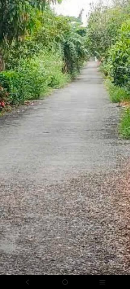 Chủ nhà gửi bán gấp mảnh đất vuông vắn, pháp lý minh bạch tại Đồng Tháp