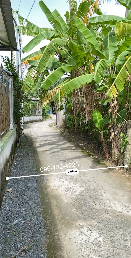 Đất xịn xò Bình Phú - Bến Tre, 196m2, ngang 16m, giá iu thương