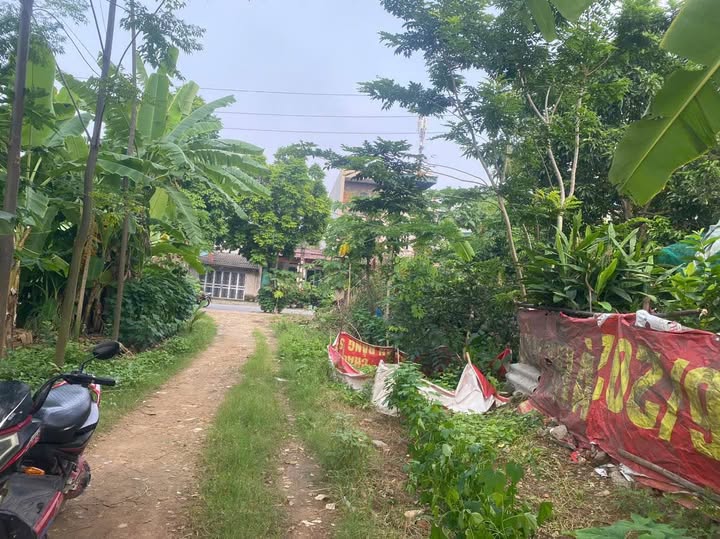 Bán đất nền 72m² mặt tiền 6m vuông vắn tại Khu Hồng Hà 2, Việt Trì