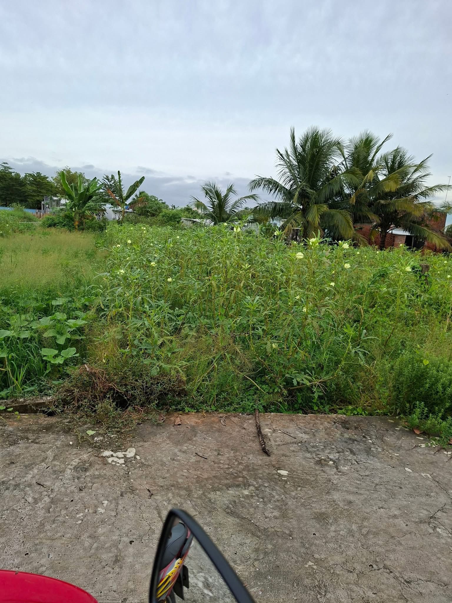 Đất Gò Tre, Long Thuận, thị xã Gò Công, giá hời, đường ô tô 4m