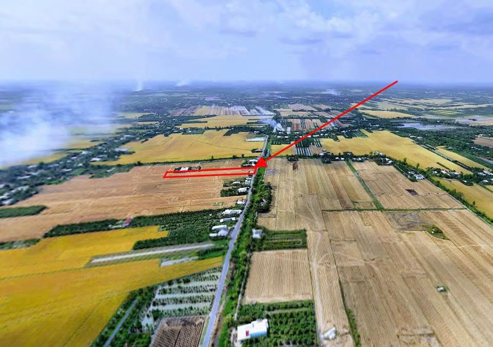 Hơn 5 công đất vườn ven sông, mặt tiền đường nhựa rộng, sẵn sổ sẵn sang tên tại Vĩnh Long