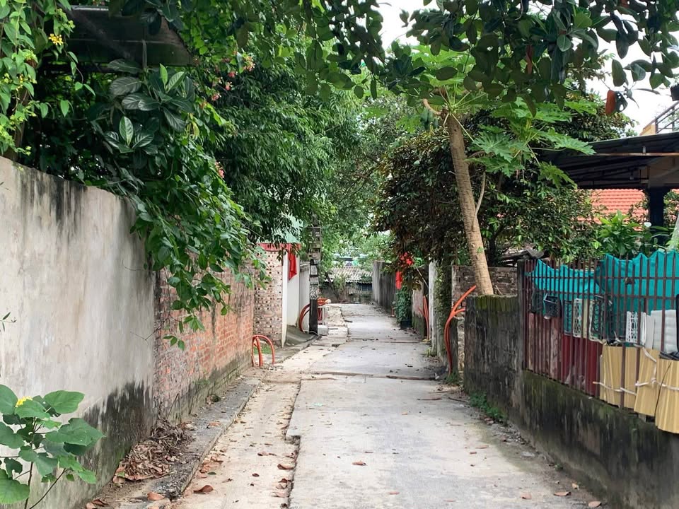 Đất thổ cư 87m2 tại tổ n phố Nọi, trung tâm khu đô thị Danko, Vĩnh Yên, Vĩnh Phúc