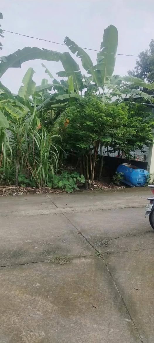 Mảnh đất vàng 5m x 18m tại Tân Bình, Đồng Nai, cơ hội đầu tư sinh lời