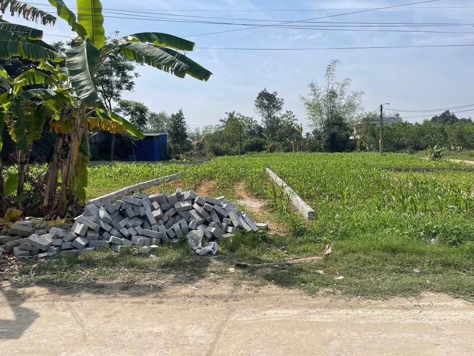 Cơ hội có một không hai tại khu tái định cư Đồng Bẩm cũ, Thái Nguyên