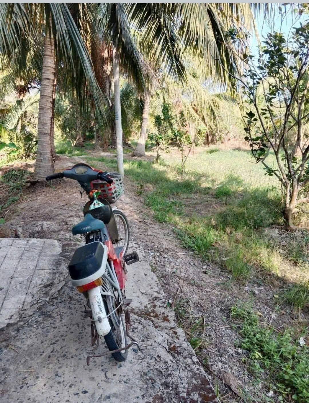 Đất Bến Tre giá tốt, giảm giá sâu