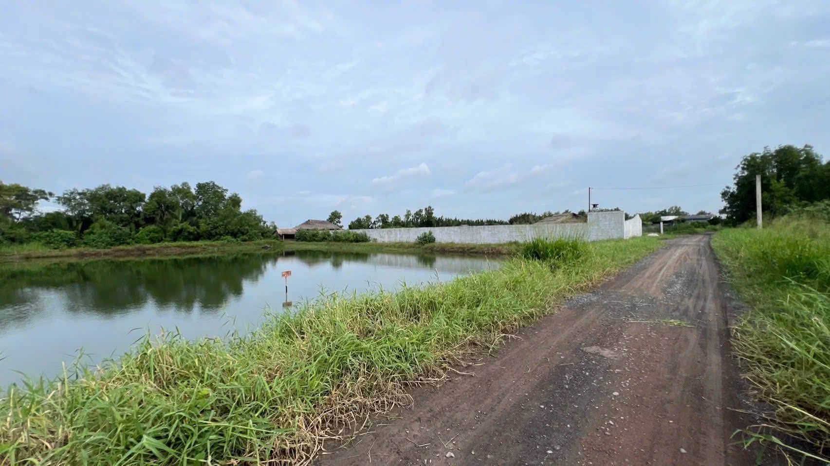 Siêu phẩm đất lúa 7200m2 giáp mặt tiền sông, bao quanh bởi đê bao vững chắc