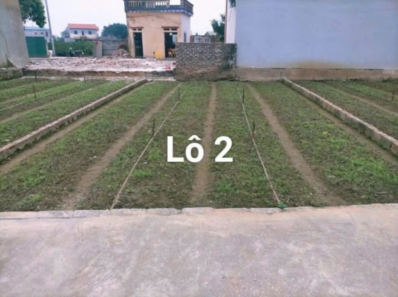 Đất Yên Mỹ, Hưng Yên 62m², 5,16m mặt tiền, chỉ 1,7 tỷ thoáng đãng, tiện ích đầy đủ