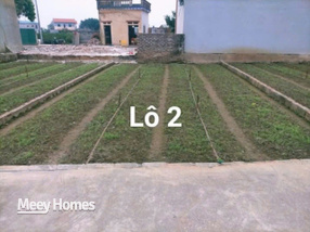 Đất Yên Mỹ, Hưng Yên 62m², 5,16m mặt tiền, chỉ 1,7 tỷ thoáng đãng, tiện ích đầy đủ