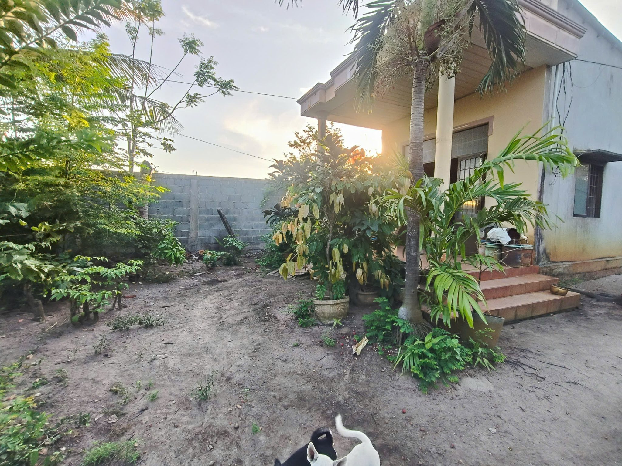 Cơ hội đầu tư hấp dẫn với lô đất rộng 3725m2 tại Phước Hải, Bà Rịa - Vũng Tàu