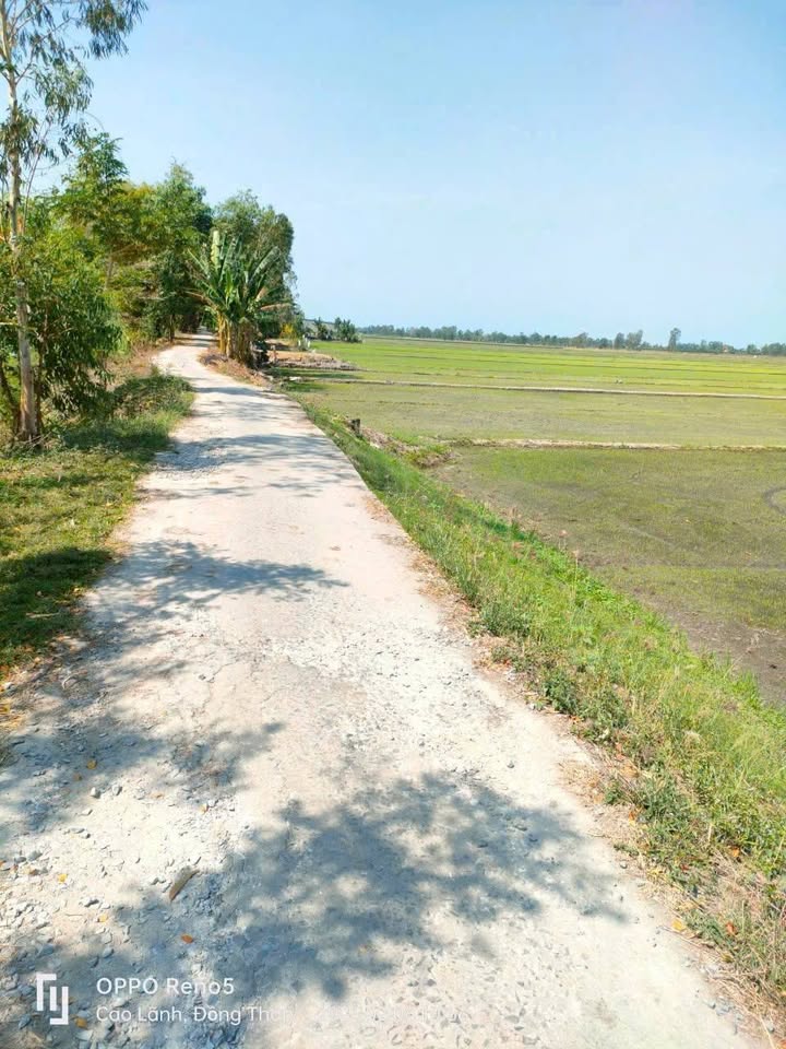 Chào mừng quý vị đến với miền đất hứa, nơi sông nước hữu tình và tiềm năng sinh lời vô hạn