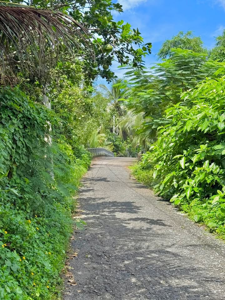 Đất mặt tiền nhựa Hóc Lựu vị trí đẹp, giá siêu hời