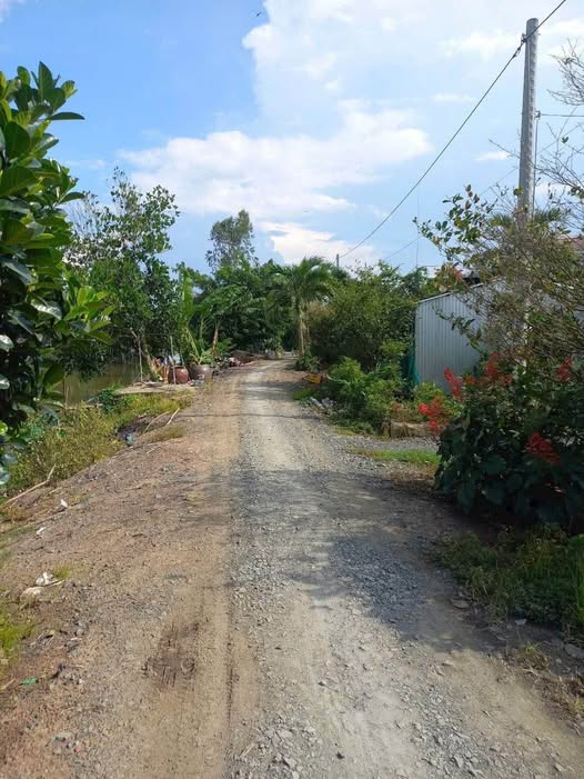 Đất lúa vuông vắn 9200m2, sổ đỏ sẵn sàng, giá hời 1.5 tỷ