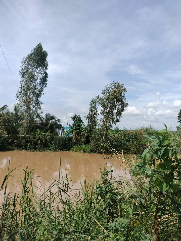 Đất nền Đồng Tháp view kênh, đang chờ đón chủ nhân mới