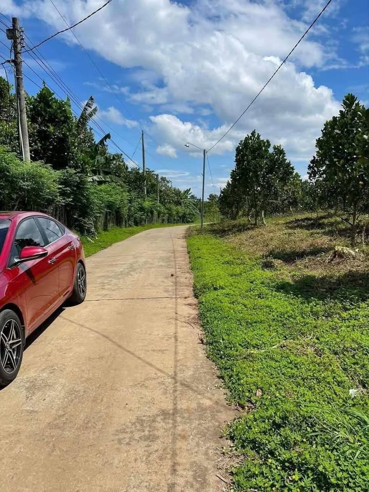 Bán nền đất mặt tiền đường bê tông tại xã Phú Vinh, huyện Định Quán, tỉnh Đồng Nai