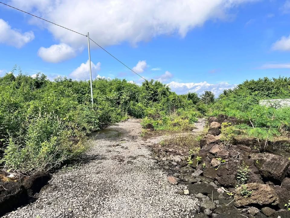 Bán đất 3500m2 có suối, sổ hồng riêng tại Phú Tân, Định Quán