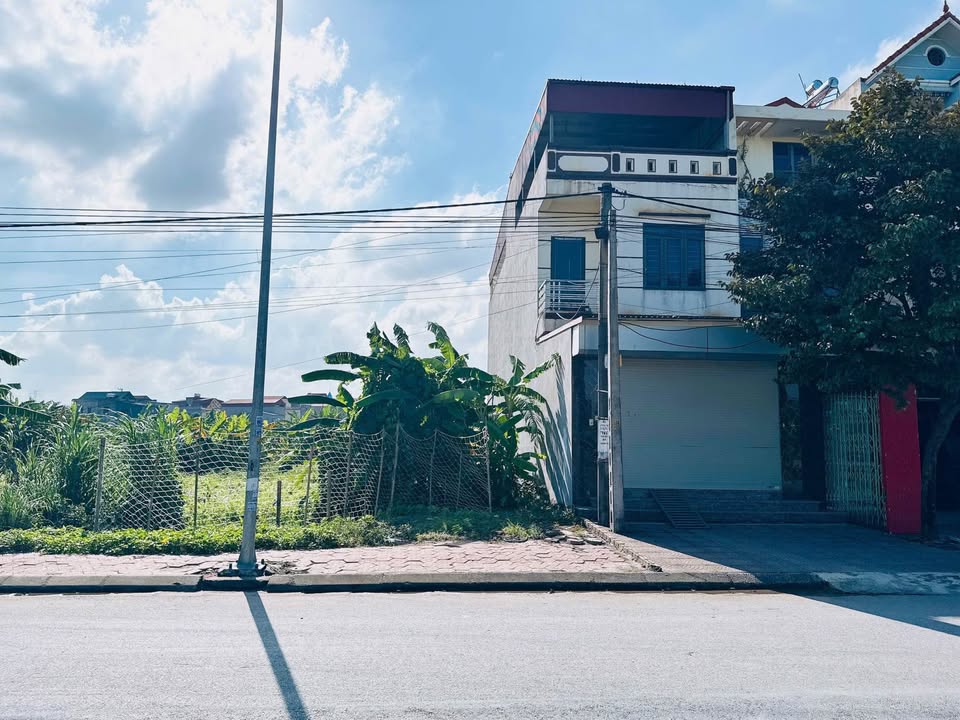 Đất vàng mặt phố Kim Đào - Lộc phát sinh lời, an cư lạc nghiệp