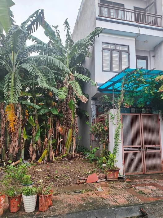 Cơ hội sở hữu ngay lô đất vuông vắn, diện tích 62,2m² tại khu vực Hoàng Diệu, thành phố Thái Bình