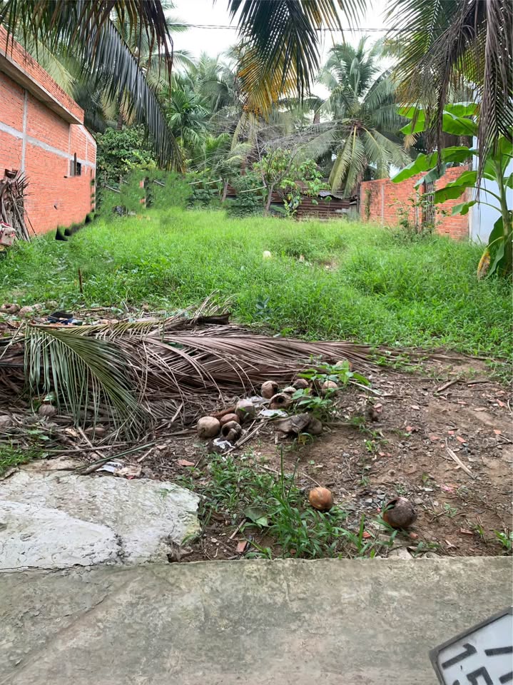 Chào mừng quý vị đến với mảnh đất vàng tại Xóm Đạo, xã Phú Túc, Vĩnh Long