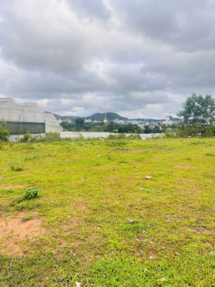 Đất Lạc Dương, Đà Lạt, 107m2 mặt tiền rộng, giá chỉ 1,29 tỷ, cơ hội đầu tư, định cư, nghỉ dưỡng