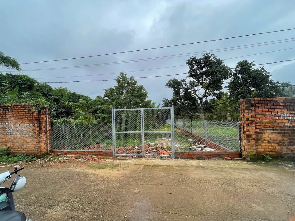 Bán đất vườn thổ cư phường Tân An, Buôn Ma Thuột, 8m x 60m, 2,5 tỷ