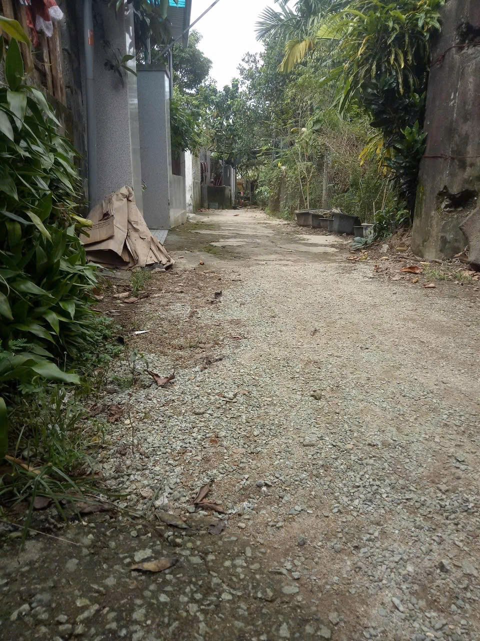 Nhà gác lửng kiệt Long Thọ, Huế - Giá yêu thương