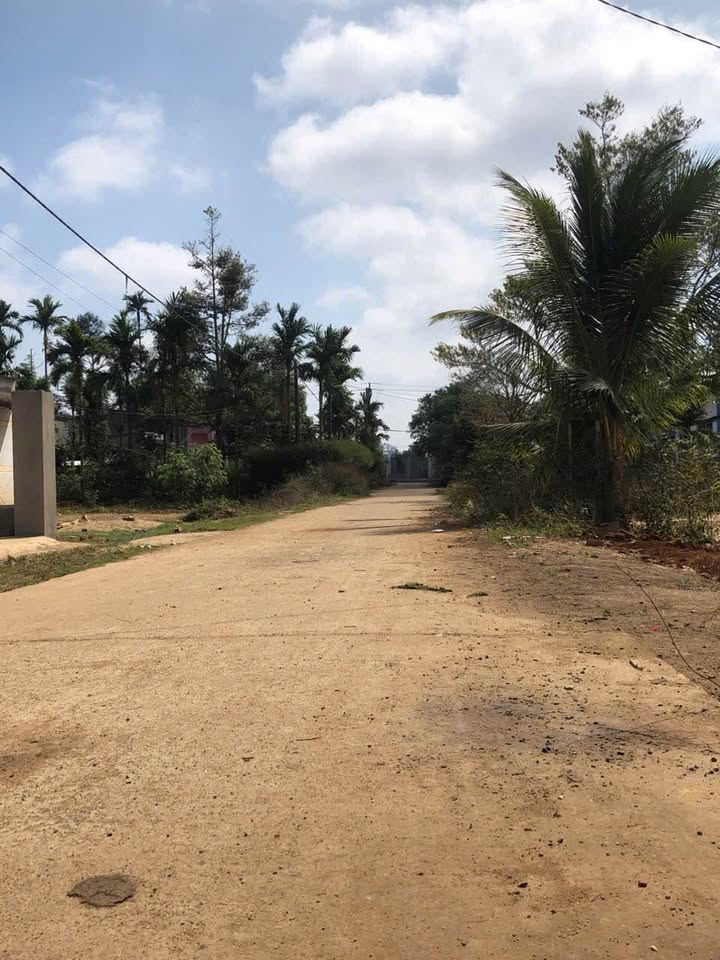 Bán đất nền Buôn Kram, Eak Nop, Cư Jút, Đắk Nông - Vị trí đẹp, giá tốt