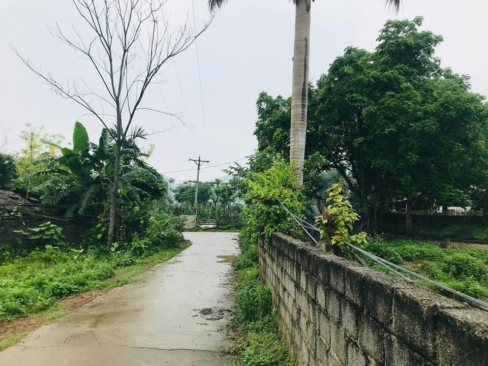 Khám phá mảnh đất tuyệt đẹp tại Cư Yên, Lương Sơn, Hòa Bình