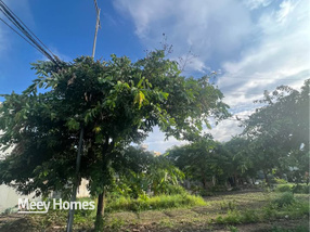 Đất vàng KĐT Tài Tâm - Giá siêu mềm, rinh ngay kẻo lỡ