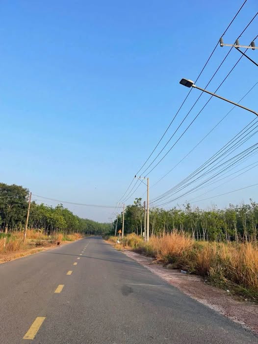 Bán đất 1324,5m2 mặt tiền 8m, 100m2 thổ cư tại Bến Cát, Bình Dương