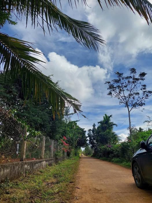 Đất cư bao dài miên man 5m x 42m, cơ hội đầu tư sinh lời