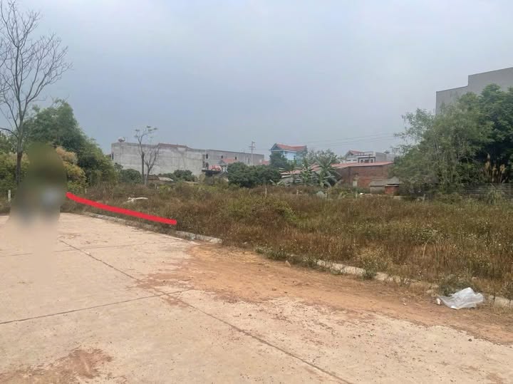 Đất vàng làn 2 Tỉnh Lộ 295 - Cơ hội đầu tư sinh lời tại Bắc Giang