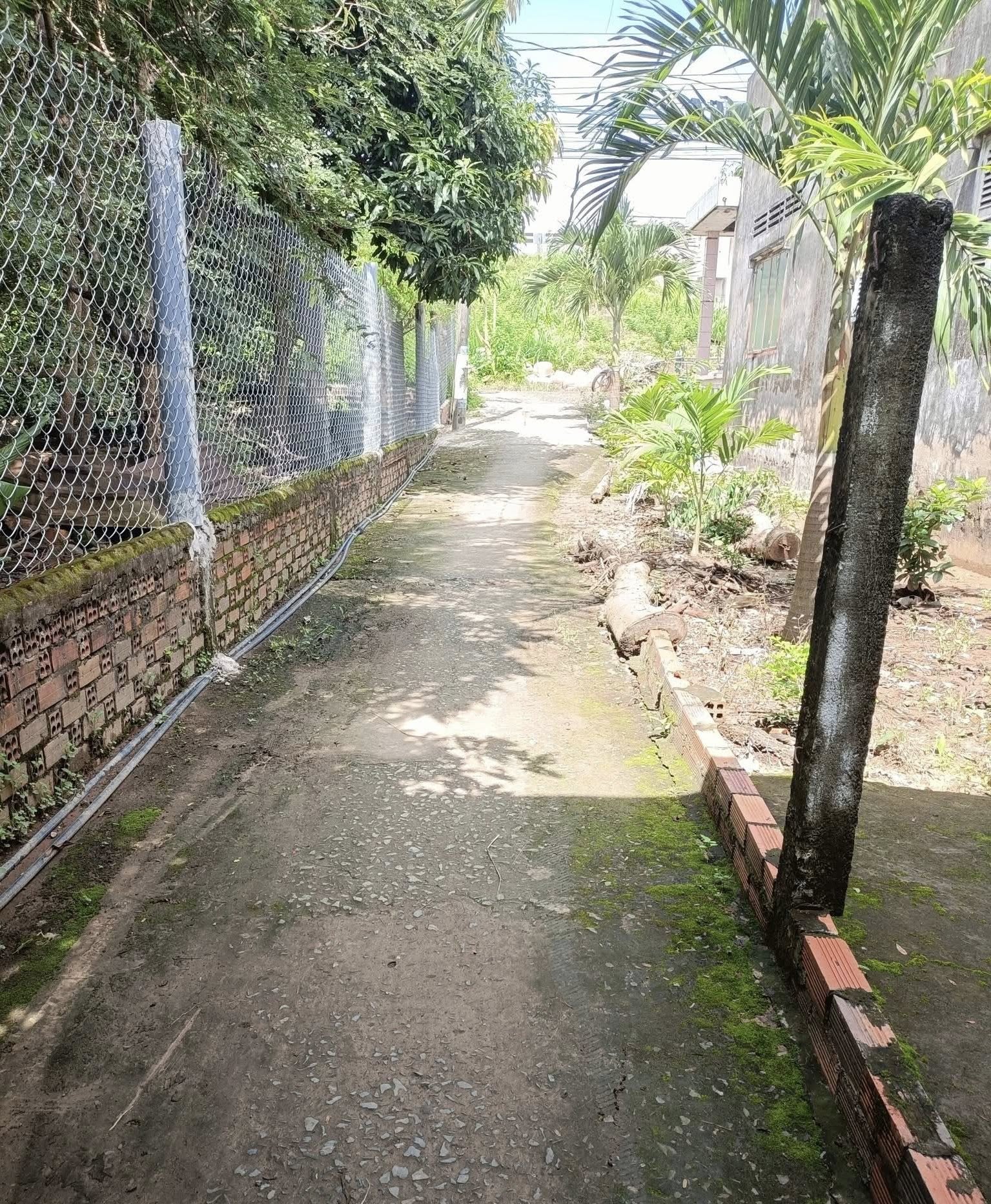 Nhà Thới Lai, Bình Đại, Bến Tre, diện tích 170m2, thổ cư toàn bộ, giá 550 triệu